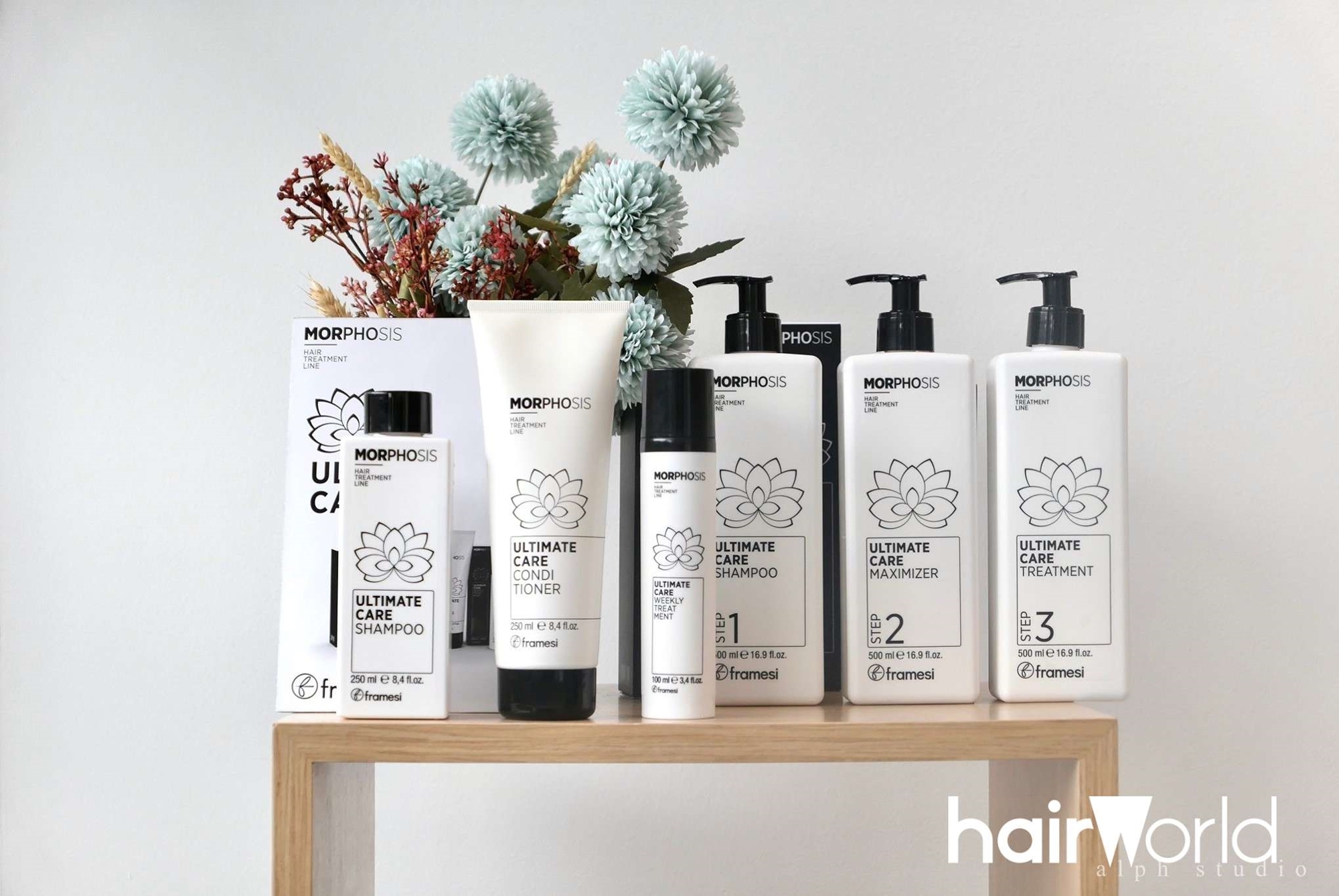 Amazon.com: Framesi Morphosis Densifying Shampoo 33.8 fl oz, Hair Treatment  Shampoo : Beauty & Personal Care